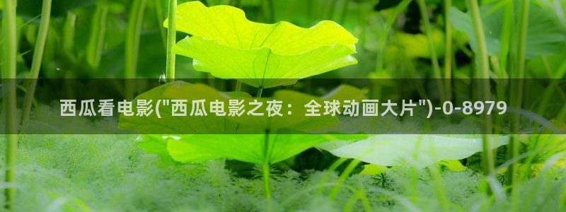 西瓜影院2021最新电影电视剧