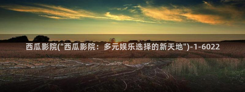 西瓜高清影音播放器下