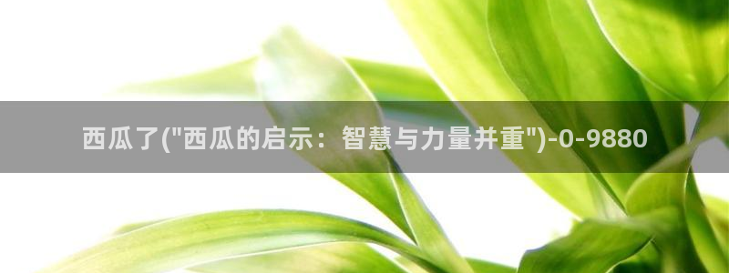 西瓜影视电影在线观看