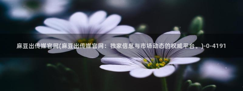 麻豆传媒官网18：麻豆出传媒官网(麻豆出传媒官网：独家信息与市场动态的权威平台。)