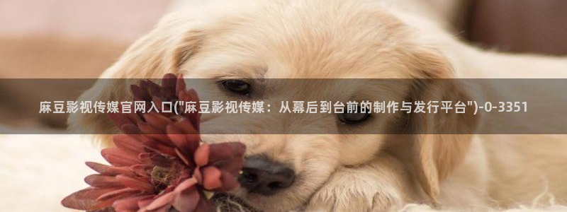 mdapptv麻豆传媒官网：麻豆影视传媒官网入口(\