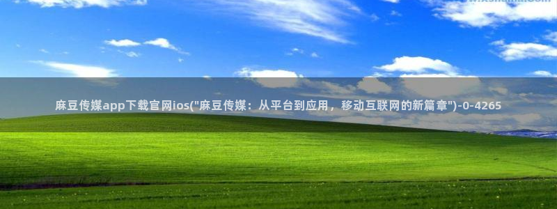 麻豆成人传媒官网：麻豆传媒app下载官网ios(\