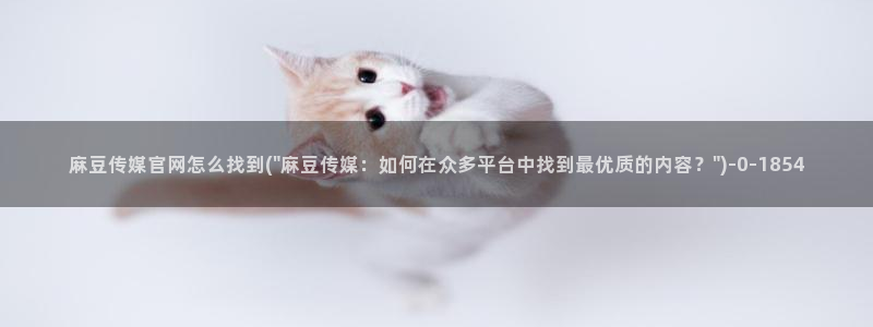 麻豆传媒官网 知乎：麻豆传媒官网怎么找到(\