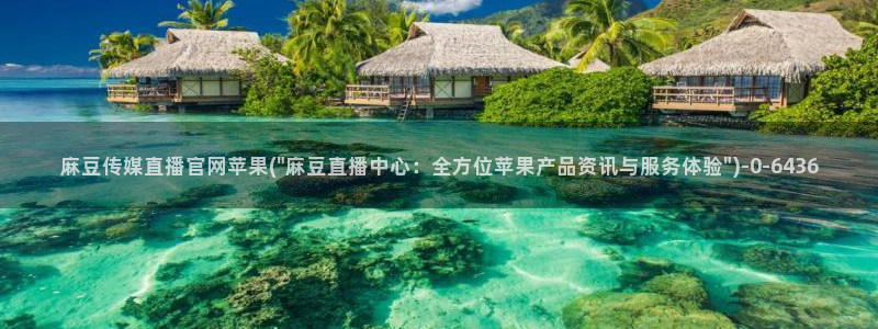 麻豆传媒md官网：麻豆传媒直播官网苹果(\