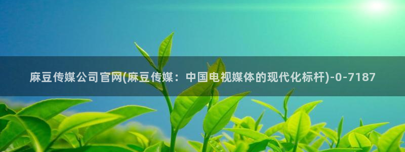 麻豆tv传媒官网：麻豆传媒公司官网(麻豆传媒：中国电视媒体的现代化标杆)