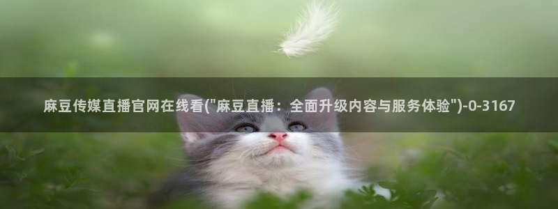 麻豆传媒的官网：麻豆传媒直播官网在线看(\