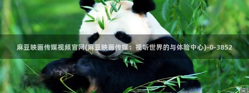麻豆工作传媒官网：麻豆映画传媒视频官网(麻豆映画传媒：视听世界的与体验中心)