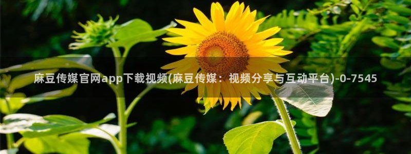 麻豆出传媒官网：麻豆传媒官网app下载视频(麻豆传媒：视频分享与互动平台)