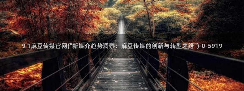 麻豆啊传媒官网观看：9 1麻豆传媒官网(\
