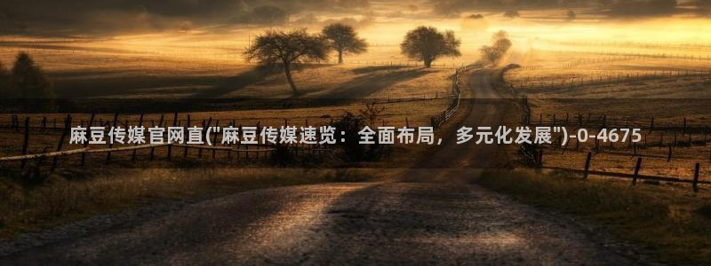 麻豆传媒官网是哪个：麻豆传媒官网直(\