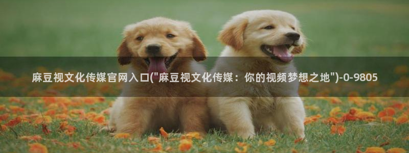 麻豆传媒官网幻：麻豆视文化传媒官网入口(\
