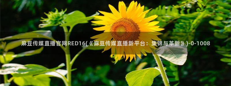 麻豆传媒官网huola：麻豆传媒直播官网RED16(《麻豆传媒直播新平台：集锦与革新》)