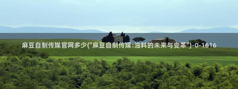 mopub麻豆传媒官网
