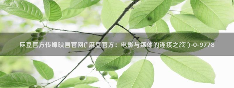 麻豆传媒官网app入口