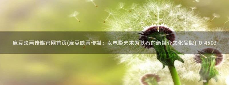 麻豆传媒官网沈娜娜