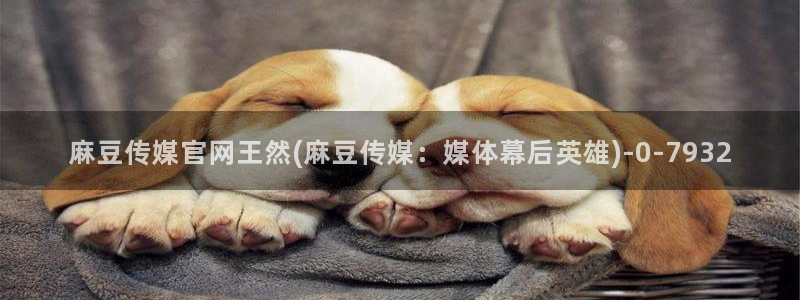 麻豆传媒官网red