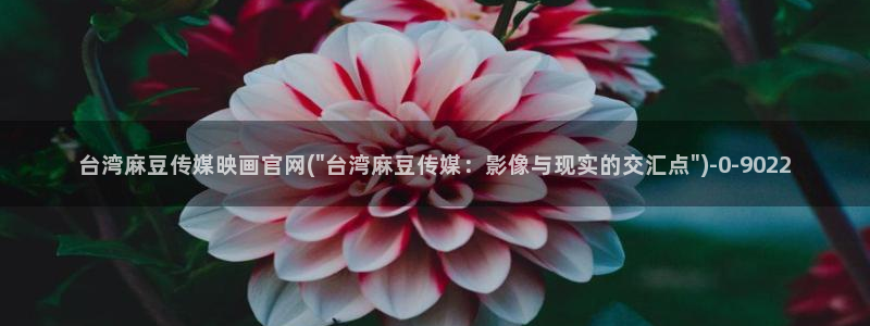 武汉麻豆传媒官网