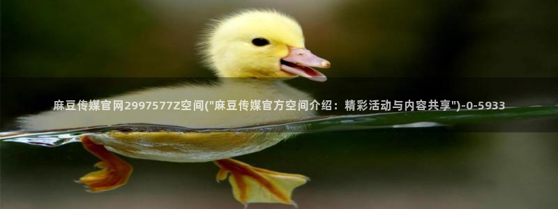 麻豆传媒视官网