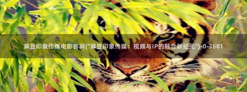 麻豆传媒官网 在线
