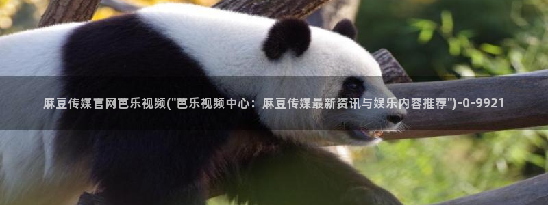 麻豆官网传媒映画:麻豆传媒官网芭乐视频(\