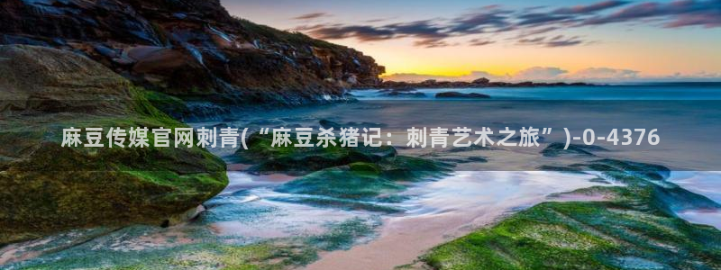 麻豆传媒官网小蝌蚪