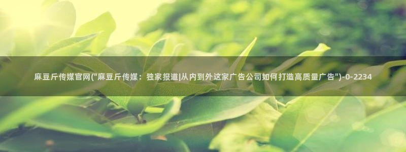 麻豆视传媒官网进入